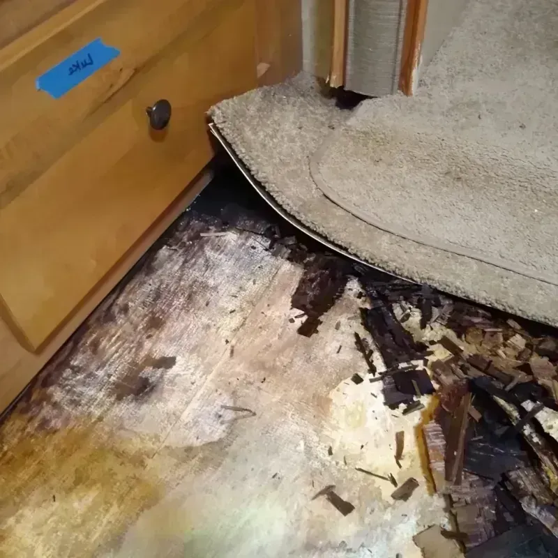 Wood Floor Water Damage in Saint Joseph, IL